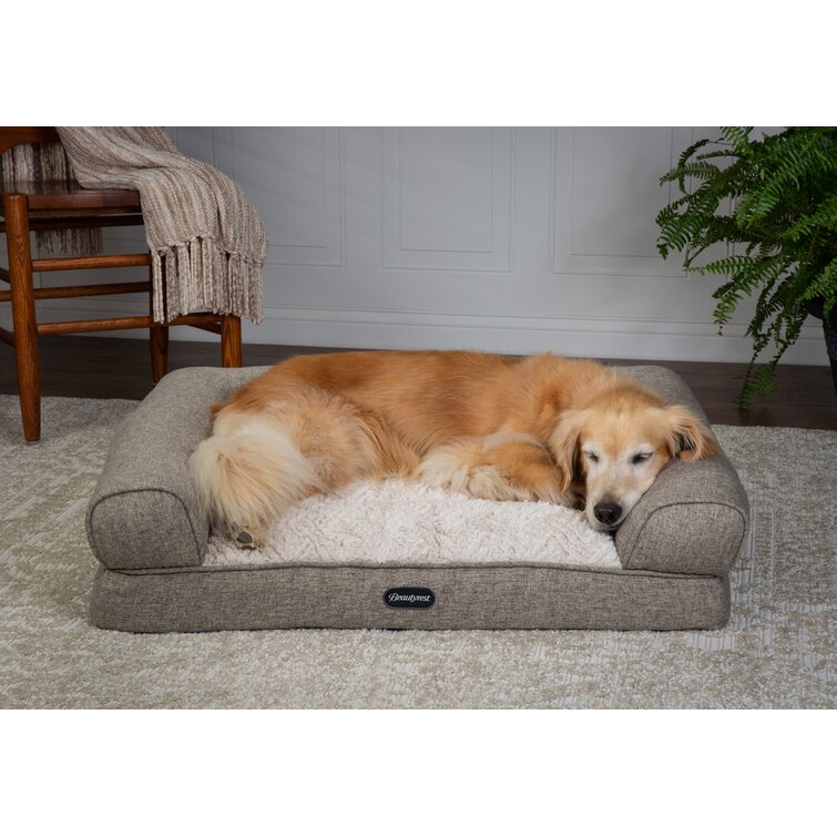 Wayfair dog sales beds canada